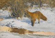 bruno liljefors Winter Landscape with a Fox oil painting reproduction